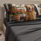 Lenzuola Animali in Cotone, Completo Letto con Federe in Stampa Digitale Dog 24