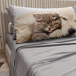 Lenzuola Animali in Cotone, Completo Letto con Federe in Stampa Digitale Friends 12