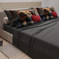 Lenzuola Animali in Cotone, Completo Letto con Federe in Stampa Digitale Friends 09