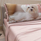 Lenzuola Animali in Cotone, Completo Letto con Federe in Stampa Digitale Dog 12