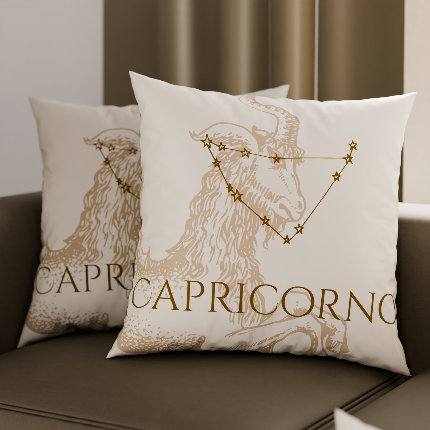 CFDMD-Capricorno0006.jpg