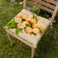 Coussins pour chaises Housse de chaise 6 pièces Citron