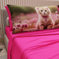 Lenzuola Animali in Cotone, Completo Letto con Federe in Stampa Digitale  Cats 12